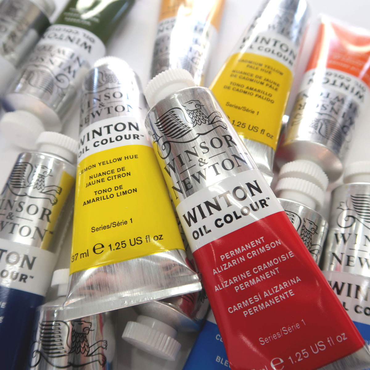 Winsor and Newton Winton Oil Paint 37ml Aotearoa Art Supplies
