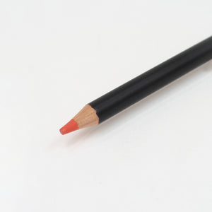 Posca Coloured Pencil Individual